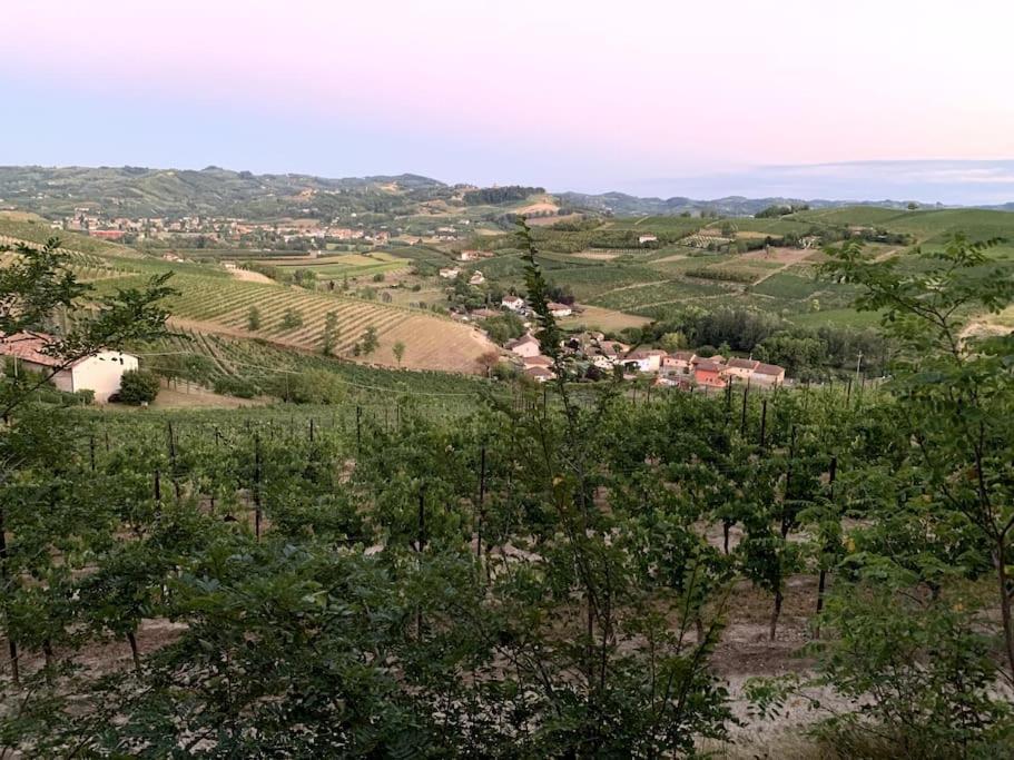 Apart-Agriturismo "La Colomba" Nizza Monferrato Ngoại thất bức ảnh